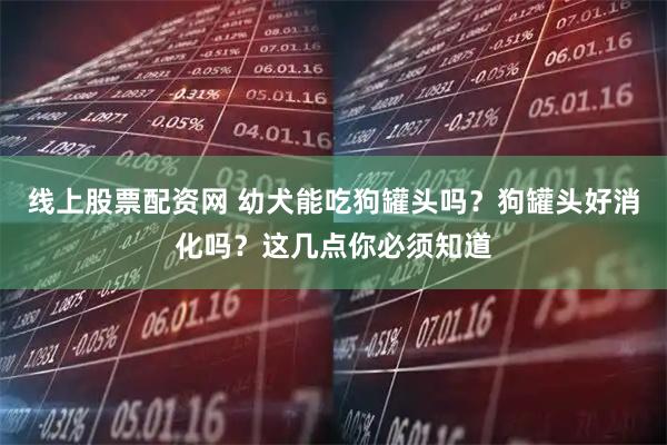 线上股票配资网 幼犬能吃狗罐头吗？狗罐头好消化吗？这几点你必须知道