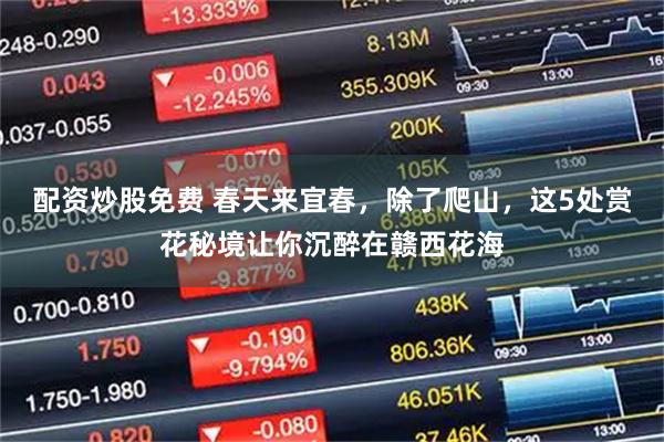 配资炒股免费 春天来宜春，除了爬山，这5处赏花秘境让你沉醉在赣西花海